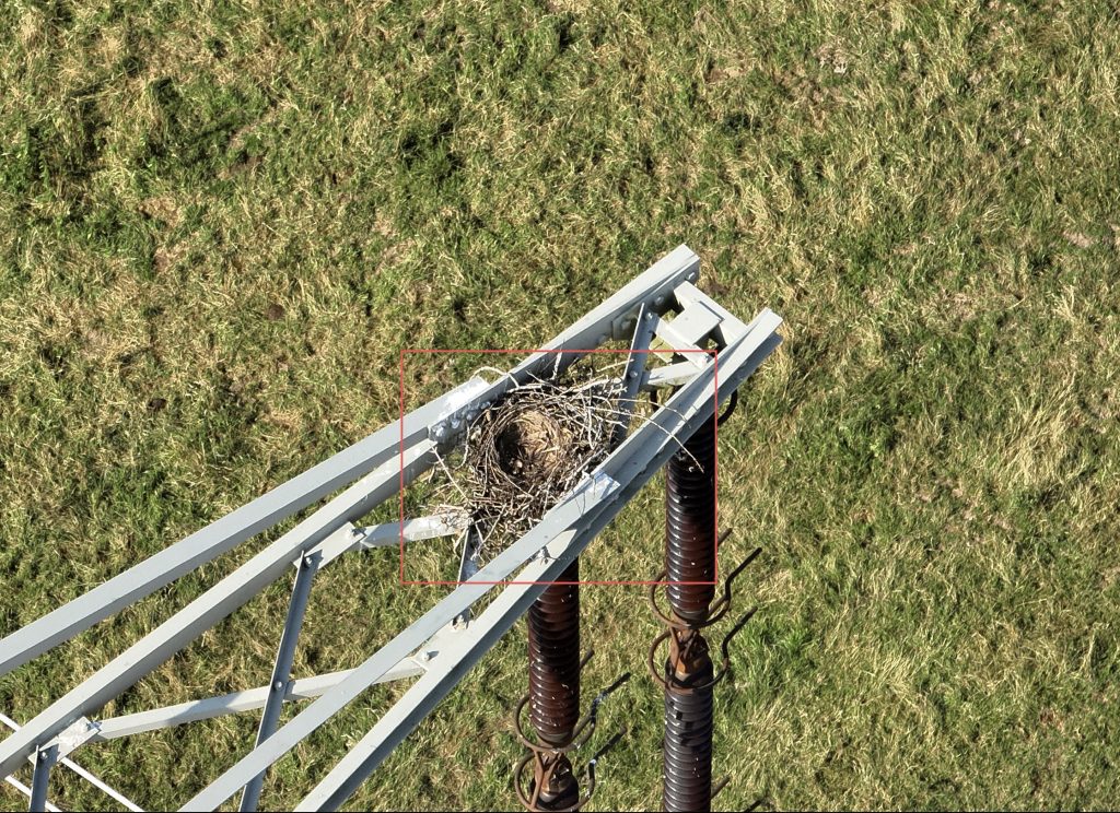 Mittels Künstlicher Intelligenz können Vogelnester auf Freileitungen eigenständig identifiziert werden. Foto: Omexom Deutschland
